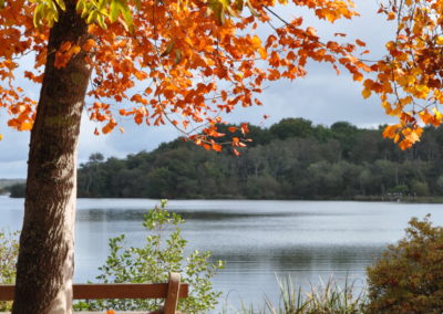 Vue d'automne du lac de Mimizan (Landes)